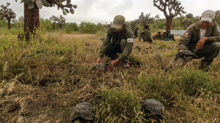 Militares resguardarán a guardaparques de zonas protegidas invadidos por grupos criminales