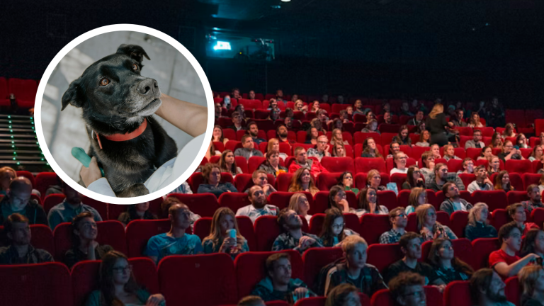 Ve al cine y vuelve a casa con un perro o gato adoptado, la nueva iniciativa de Bienestar Animal de Guayaquil y Supercines