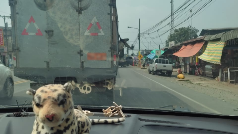 Traslado de un perezoso vivo amarrado en un camión es captado en video