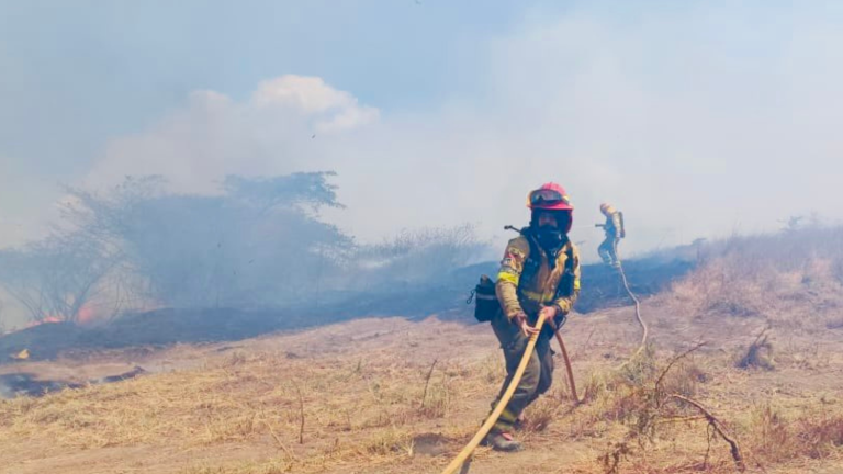 Suben a cuatro los incendios forestales que acechan a Quito y lo cubren de humo