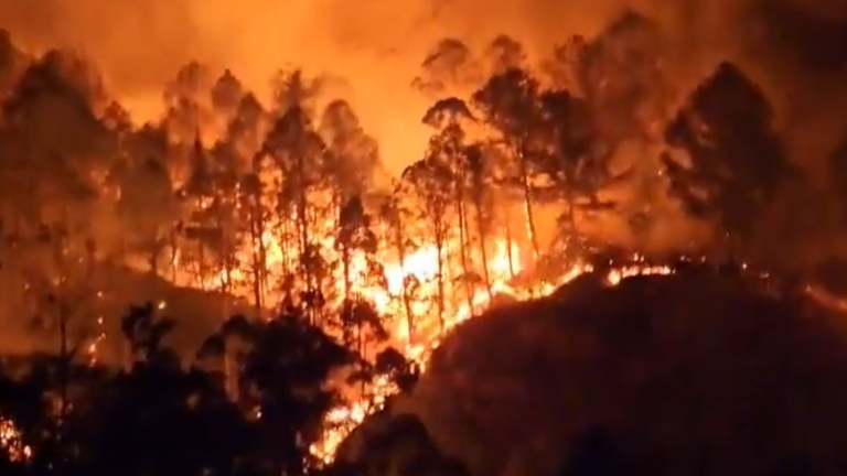 Incendio forestal en Loja: Aumenta a más de 3.800 hectáreas el área calcinada