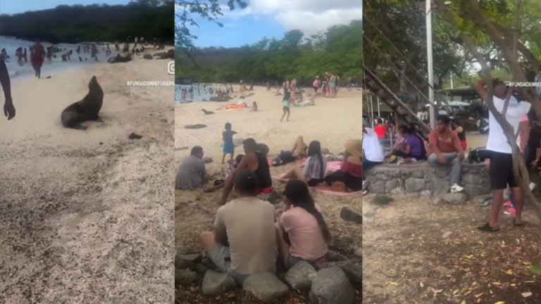 Parque Galápagos pide reforzar controles en playa ante video que muestra a turistas bebiendo alcohol y escuchando música con parlantes