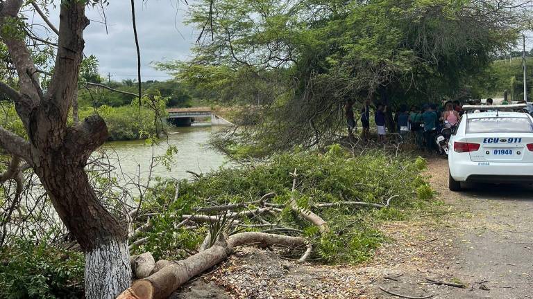 Comisión de la Asamblea sesionará desde territorio y recorrerá esterillo en Olón, Santa Elena