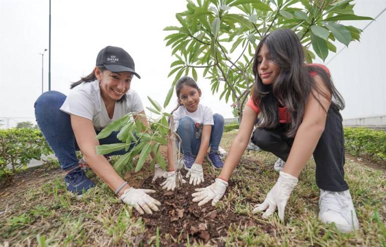 $!Una de las actividades de reforestación que ha realizado el Grupo Difare con el apoyo de sus colaboradores y sus familias.