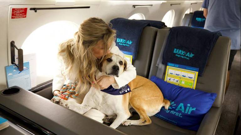 Bark Air: el nuevo servicio de viajes aéreos exclusivo para mascotas