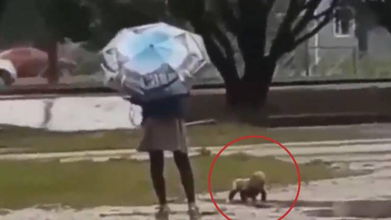 Video de un niño jugando en el lodo y la lluvia causa polémica en redes sociales