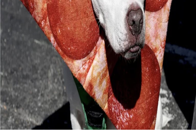 $!Un perrito disfrazado de pedazo de pizza.