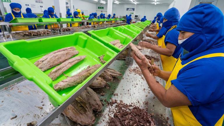 Industria pesquera busca incrementar sus exportaciones