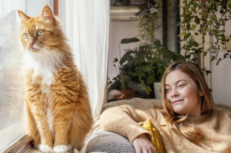 $!Un gato junto a su tutora viendo la ventana.