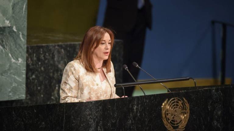 Espinosa: Entre la ONU y el juicio político