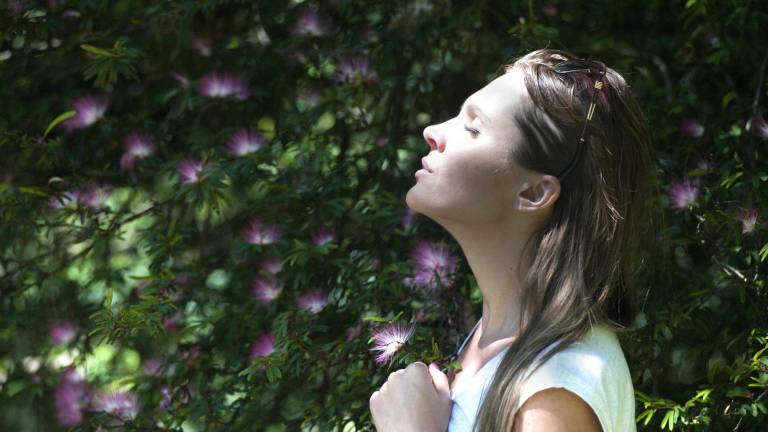 Horóscopo jueves 7 de diciembre: Tauro, Géminis y Leo renuevan sus energías