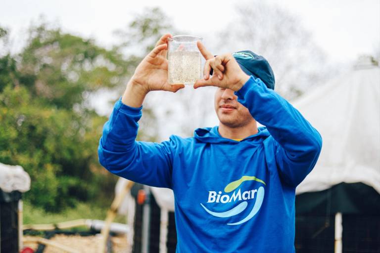 $!Alimentsa se dedica a la producción de alimento balanceado.