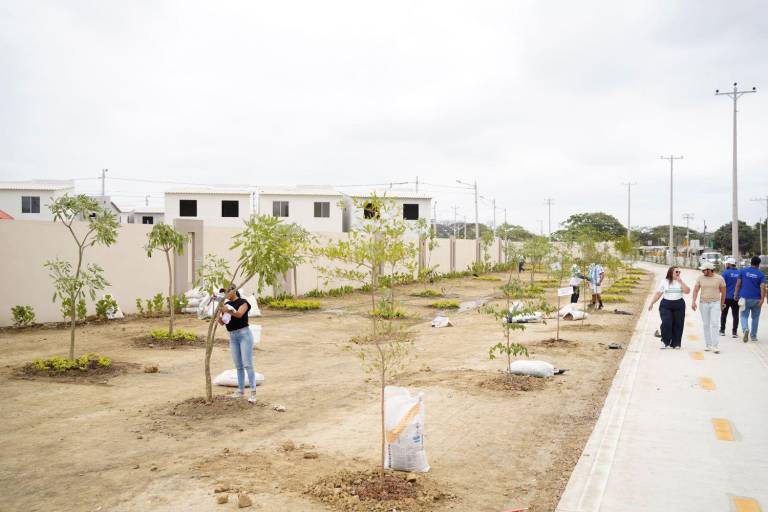 $!Con esta Sembratón, el Parque lineal de la urbanización Paseo del Sol 5 constituye una nueva zona verde para la ciudad.