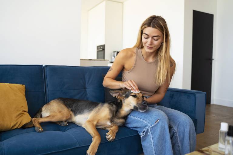 $!Una joven dándole amor a su perrito para mantenerlo tranquilo.