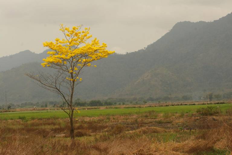 $!Destinos naturales en Guayaquil: ¿cuáles visitar en estas fiestas?