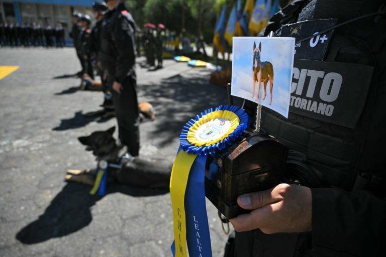 $!El soldado del Ejército Jonathan Roblero sostiene las cenizas de su perra Maly, luego de una condecoración durante una ceremonia de reconocimiento a la excepcional labor antidrogas.