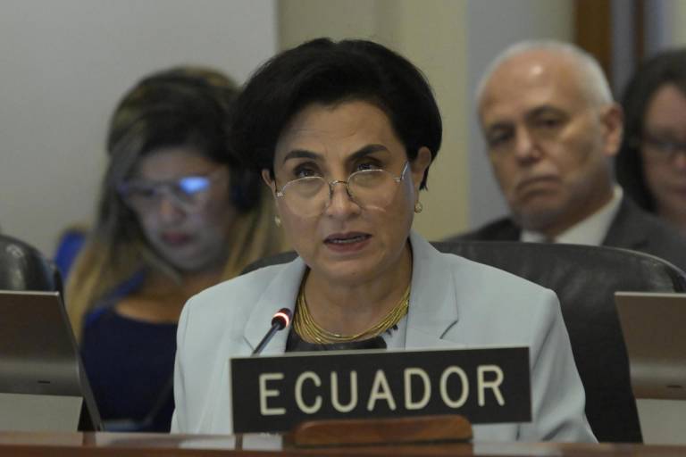 $!La canciller de Ecuador, Gabriela Sommerfeld, habla durante una sesión extraordinaria de la Organización de Estados Americanos, este miércoles en Washington (Estados Unidos).