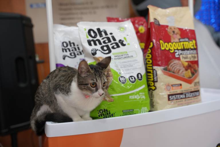 $!Penelope, gatita de uno de los colaboradores de Editorial Vistazo junto a los nuevos alimentos para mascotas ¡Oh mai gat! y Dogourmet.