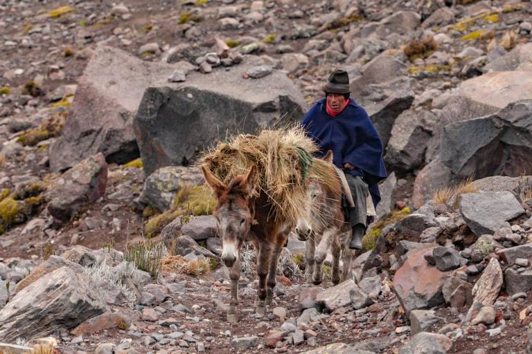 $!Baltazar subiendo por las laderas de la montaña con sus burros.