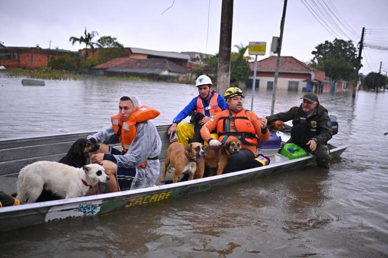 $!CANOAS (BRASIL)- Habitantes con sus mascotas se transportan en una canoa en una zona inundada en Canoas.