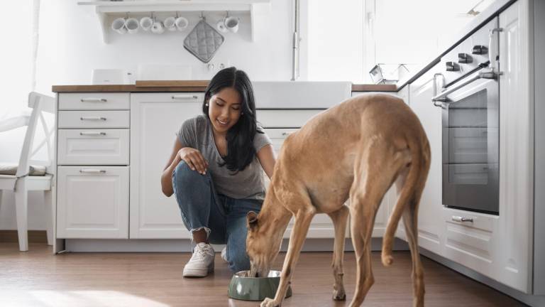 Una mujer alimentando a su perro.