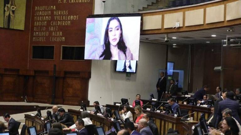 La vicepresidenta habló en el pleno de la Asamblea.