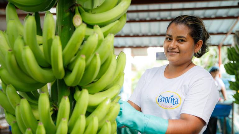 ¿A cuáles sectores económicos pertenecen las 500 Mayores Empresas del Ecuador?