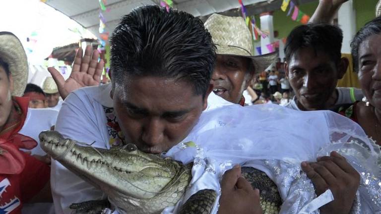 Alcalde mexicano contrae matrimonio con un caimán hembra: Nos queremos y acepto casarme