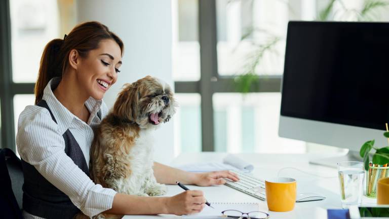 Una joven trabajando en su oficina junto a su perrito.