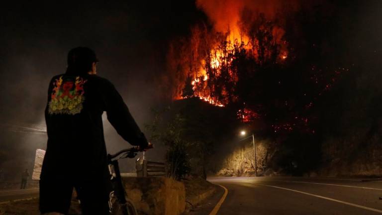 Capturan al presunto pirómano en Quito: se trata de un joven de 19 años sospechoso del incendio en Guápulo