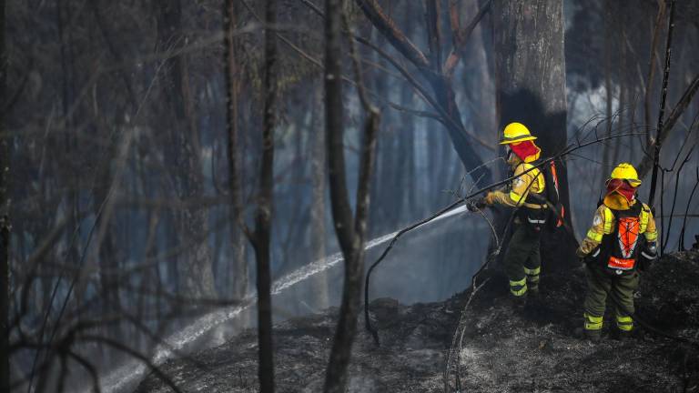 Daniel Noboa dispone acciones urgentes para enfrentar los incendios forestales