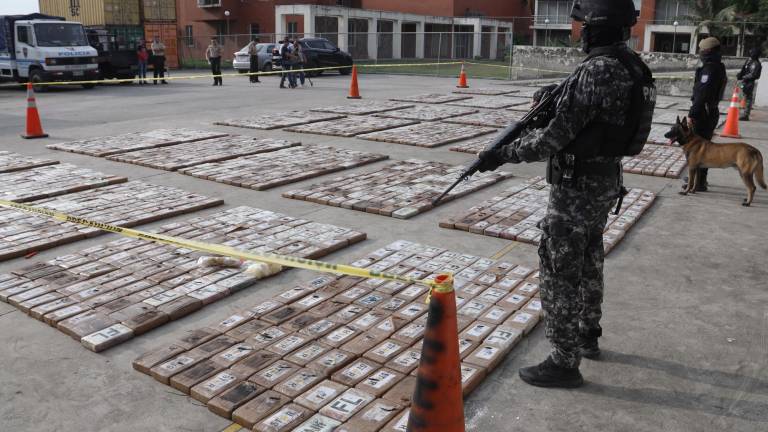 246 toneladas de droga han sido incautadas en Ecuador en lo que va del 2024, según Gobierno