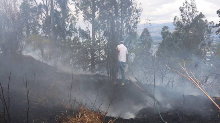 Ecuador enfrenta once incendios forestales, tres de ellos en Quito