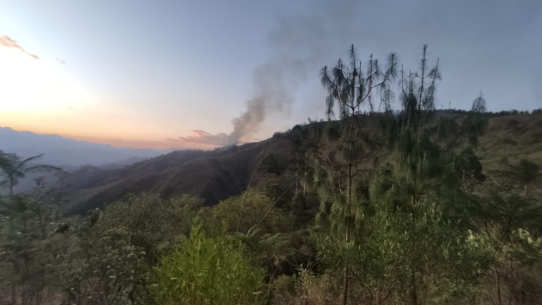 Incendio forestal en Loja consume 345 hectáreas