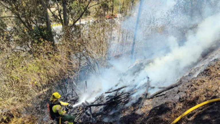 Incendio forestal en la avenida Simón Bolívar fue controlado por bomberos