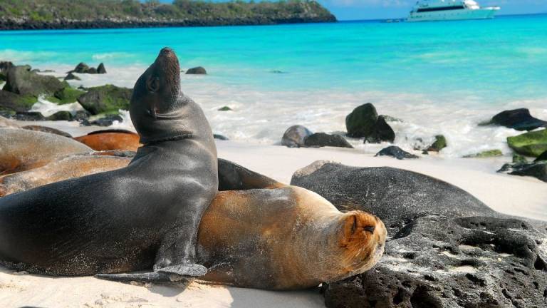 Islas Galápagos cumplen 40 años como Patrimonio Natural