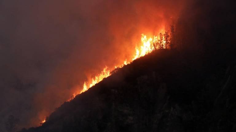 Quito está bajo ataque: descubren canecas con material inflamable que evidencian 'premeditación' de los incendios forestales