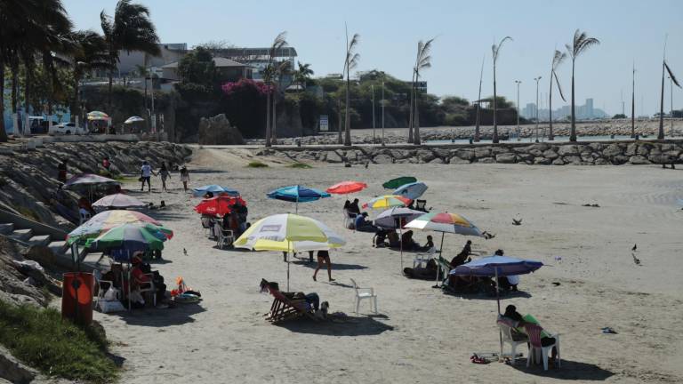 Cortes de luz durante el feriado serán de hasta 8 horas