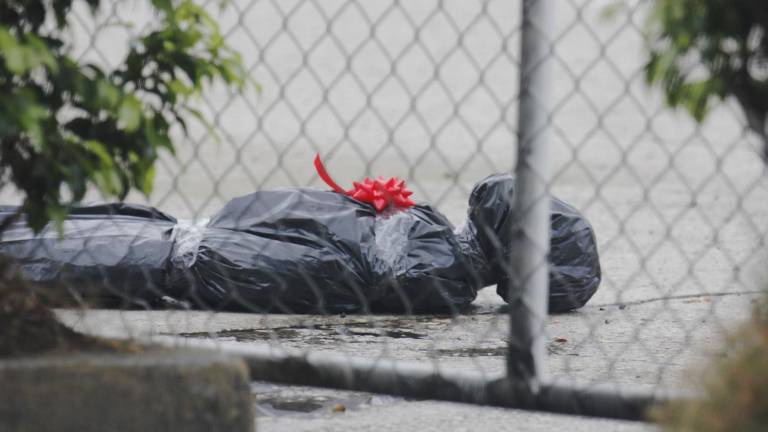 Detienen a universitarios por colocar los bultos con forma de cadáveres hallados en el Complejo Judicial Albán Borja