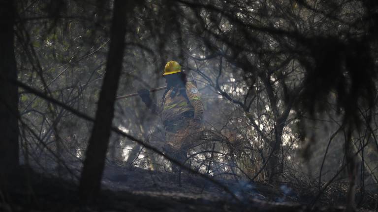 Ecuador declara la alerta roja en 14 provincias por sequía e incendios forestales