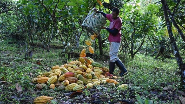 Unión Europea articula acciones para la reactivación productiva de Ecuador