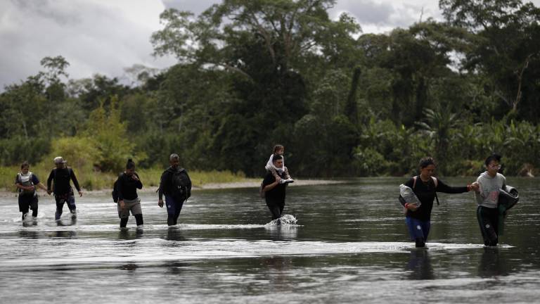 Se redujo en 70% el flujo de ecuatorianos que cruzaron la Selva del Darién para migrar de forma irregular en el 2024