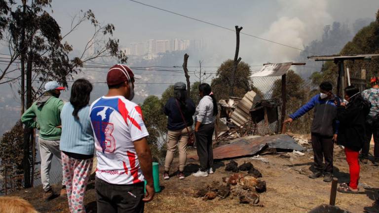 Incendio en Quito deja siete heridos, incluidas dos viviendas destruidas y unas 146 hectáreas arrasadas