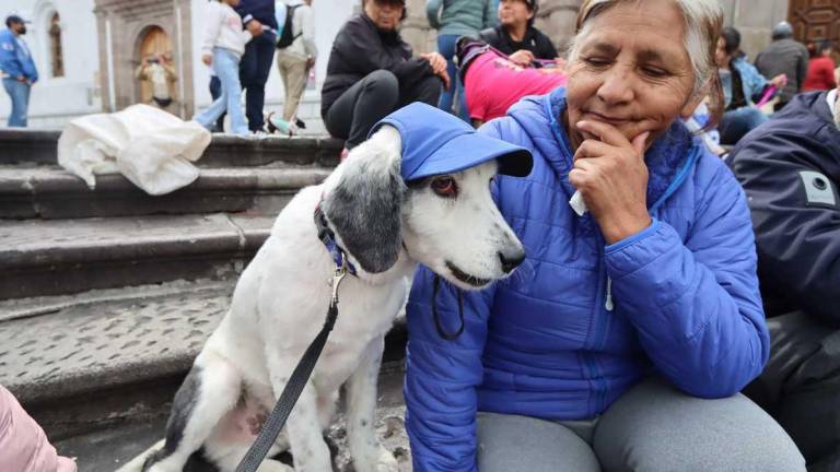 ¿Cuánto gastan los ecuatorianos en mascotas y comercio electrónico?, eso definirá nueva encuesta del INEC