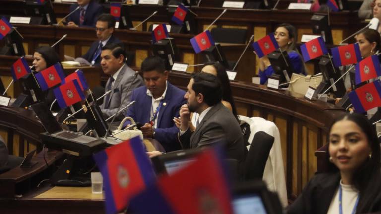 Fotografía del pleno durante la votación para la aprobación de la ley referida.