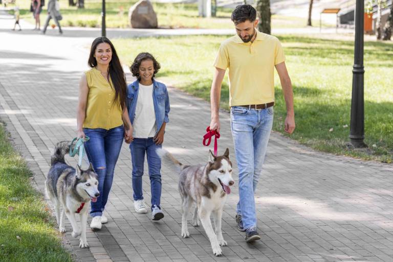 $!Una familia paseando con sus perros con correa en un parque.