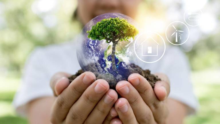 La economía circular se basa en tres principios: eliminar residuos y contaminación, mantener productos y materiales en uso, y regenerar sistemas naturales.