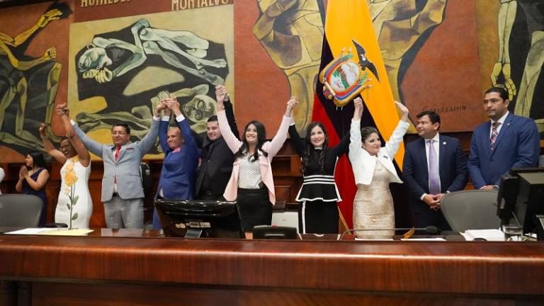 Pleno posesiona a los vocales del Consejo de Participación