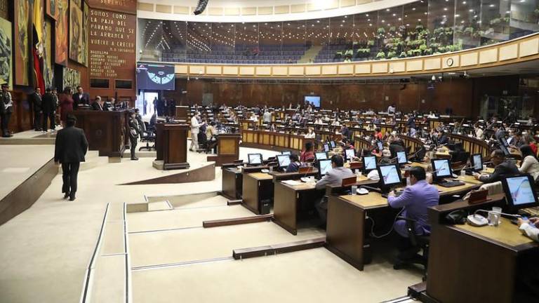 Proponen nuevos requisitos para ser asambleísta: entre ellos se busca poner fin a los 'camisetazos'