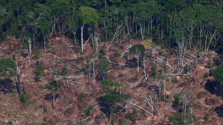 Deforestación en Amazonía brasileña alcanza mayor nivel en más de una década